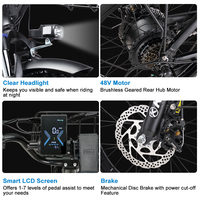 Vélo électrique tout-terrain pour adultes avec cadre en aluminium, batterie au lithium 48V, pneus larges de 20 pouces, 250W, fabrication sur mesure