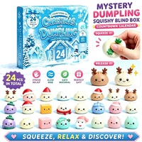 Coffret Mystère de Jouets Anti-Stress en Forme de Dumpling, Calendrier de l'Avent Noël 2026, Jouets Squishy de Noël à Collectionner pour Adultes