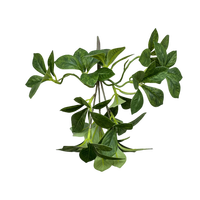 Plante artificielle en pot, mini bonsaï, Polyscias Ficus, fausse verdure, 23 cm, décoration de table, maison, bureau