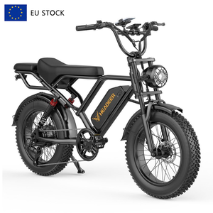 Vélo électrique de montagne à grande vitesse, meilleur prix, E-Bike EU HEADEER BK20, vélo électrique tout-terrain à pneus larges, 20 pouces, 750W - Product Image 1