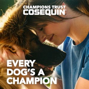 Nutramax <span class=keywords><strong>Cosequin</strong></span> Senior : Complément pour la Santé Articulaire des Chiens – Glucosamine, Chondroïtine, Sulfate, Bêta-Glucane pour Articulations, Peau, Pelage et Immunité - Product Image 2