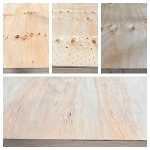 <span class=keywords><strong>Contreplaqué</strong></span> de <span class=keywords><strong>pin</strong></span> WBP imperméable et ignifuge 6-40 mm, <span class=keywords><strong>contreplaqué</strong></span> commercial pour la construction, les meubles et l'emballage - Product Image 6