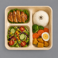 Barquette alimentaire jetable compostable en pulpe moulée, sans PE, biodégradable, à 3/4 compartiments, pour restauration rapide JUNYI