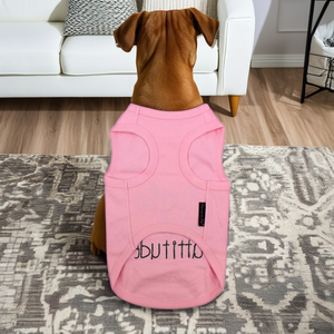 Simpatiche camicie per animali domestici con gatto cane XL miglior amico peloso calamita piccolo atteggiamento da Miss 'la cautela non può controllare il mio leccaglio lavoro poco - Product Image 2