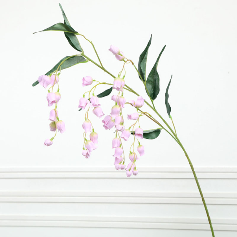 Fiore campana di rosa