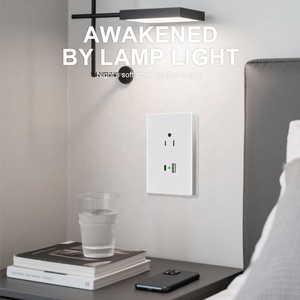 Panel de vidrio blanco americano 15A <span class=keywords><strong>interruptor</strong></span> eléctrico de luz <span class=keywords><strong>enchufe</strong></span> de EE. UU. <span class=keywords><strong>USB</strong></span> tipo a carga toma de corriente de pared México <span class=keywords><strong>interruptor</strong></span> de salida - Product Image 3