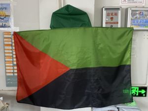 Toptan Yüksek Kalite %100 Polyester Elyaf Sallanan Bayraklar Fiberglas Bayrak Direkleri Dijital Baskılı Özelleştirilmiş Promosyon Afişleri - Product Image 4