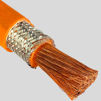 Kabel Tembaga Telanjang Berisolasi Ganda Tegangan Tinggi 70mm2 95mm2 dengan Jaket XLPE PVC 0 2 4 AWG untuk Kendaraan Energi Baru