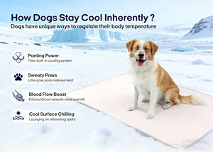 <span class=keywords><strong>Couverture</strong></span> rafraîchissante double face pour chiens et chats, en nylon-polyester de qualité supérieure, multi-usages, protège les meubles et les lits, utilisable été comme hiver - Product Image 6