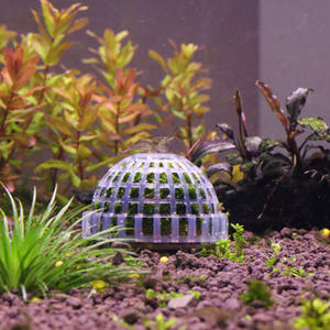 Produits pour aquarium, décorations d'aquarium, fournitures pour animaux aquatiques, décorations, boule de <span class=keywords><strong>mousse</strong></span> d'aquarium, plantes vivantes, filtre pour crevettes de <span class=keywords><strong>Java</strong></span> - Product Image 4