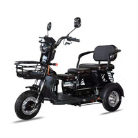 Triciclo Eléctrico 2026 de Alta Velocidad 25KM 600W 48V 20AH, Oferta de Fábrica a Buen Precio, Venta al Por Mayor de Bicicletas Eléctricas de Tres Ruedas
