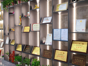 Ensemble de Fresas Rotatives en NiTi pour Canaux Radiculaires, Instruments d'Endodontie pour Nettoyage et Modelage, Outils Dentaires en Nickel-Titane Thermiquement Traité - Product Image 5