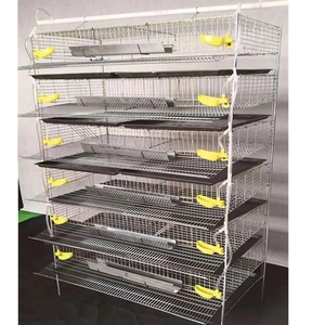 Cage de batterie de caille automatique de nouvelle conception de prix bon marché avec le système d'eau - Product Image 4
