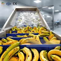 Fruit- en groentewasmachine met transportband, drooglijn voor groenten, industriële fruit- en groentereinigingsmachine