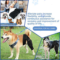 Attelle de genou réglable pour chien, support de jambe, protection pour la rééducation des blessures articulaires des pattes arrière des animaux de compagnie, pour chiens de petite, moyenne et grande taille