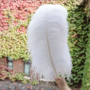 Pied de <span class=keywords><strong>plume</strong></span> d'autruche blanche artisanal de 70-75 cm - Product Image 3