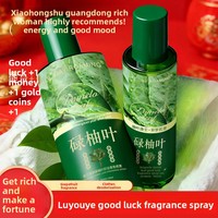 YBF 2 Styles 100ML 230ML Spray Parfumé aux Feuilles de Pomelo Vente en Gros Parfum Porte-Bonheur Éloigne la Malchance Festif Nouvel An Parfum Unisexe