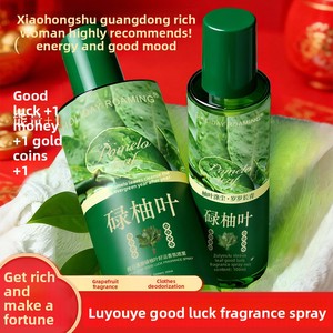 YBF 2 Styles 100ML 230ML Spray Parfumé aux Feuilles <span class=keywords><strong>de</strong></span> Pomelo Vente en Gros Parfum Porte-Bonheur Éloigne la Malchance Festif Nouvel An Parfum Unisexe - Product Image 4