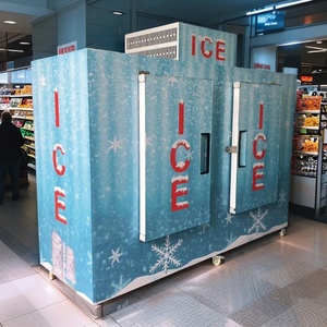 Thương mại <span class=keywords><strong>Ice</strong></span> lưu trữ merchandiser túi ngoài trời <span class=keywords><strong>Ice</strong></span> tủ đông tủ - Product Image 3