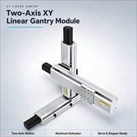 Module de guidage linéaire double à vis CNC OEM ODM, Pièces de mouvement linéaire personnalisées professionnelles pour équipements mécaniques