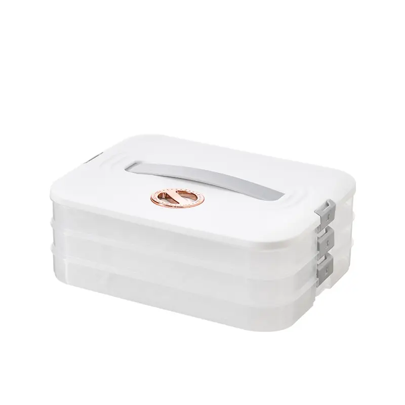 2023 Hot sale transparent dumpling box frozen food packaging box