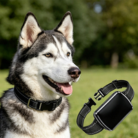Traceur GPS 4G pour animaux de compagnie, collier anti-perte sans fil, étanche, pour chiens et chats, dispositif de suivi des animaux par positionnement global