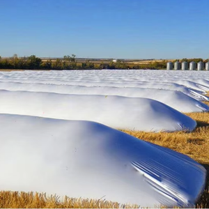 <span class=keywords><strong>Film</strong></span> plastique agricole biodégradable 60FT pour ensilage / <span class=keywords><strong>Film</strong></span> PE souple noir et blanc pour <span class=keywords><strong>silo</strong></span>, contrôle des mauvaises herbes, <span class=keywords><strong>film</strong></span> noir et blanc - Product Image 4