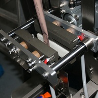 Machine d'emballage automatique de sachets de gel haute compatibilité pour shampoing et lotion corporelle