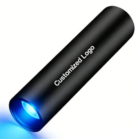 Lampe torche UV portable puissante, mini lampe torche à lumière noire, détection d'urine d'animaux, rechargeable par USB-C, lumière noire 365 nm