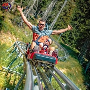 Khu vực danh lam thắng cảnh ngoài trời loại thiết bị giải trí không chạy bằng điện đôi theo dõi ròng rọc núi roller coaster - Product Image 3