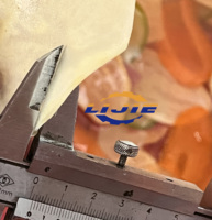 LIJIE Multifunctionele Premium Aardappelchips Fruit- en Groentesnijder 2.5KW SUS304 Efficiënte Snijmachine Motor Kern