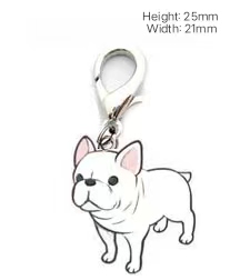 French Bull Dog White color