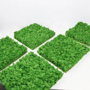 Natürliche ewige Hochzeits blume Konservierte Flechte Grün Dekor Moos Wand blatt Stabilisiert Langlebige konservierte Moos platte