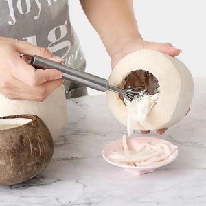 Rallador de Coco de Acero Inoxidable, Herramienta de Cocina Manual, Engrosado y Duradero, Montado en Pared, Utensilios para Frutas y Verduras, Origen Jieyang - Product Image 2
