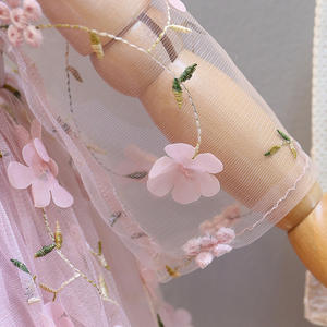 Innovative Products for Import Western Latin Dance Flower Girl Kids Embroidered Dress Model Buy Direct From China Factory - Product Image 3