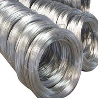 Fil d'acier électro galvanisé de 0.9mm pour clôture de tissage de mailles et fil d'acier galvanisé à usage domestique vente en gros