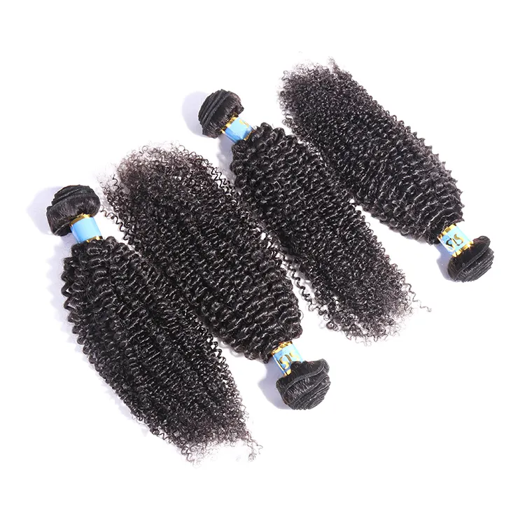 Remy Wholesale Unprocessed Raw Brazilian Mink Hair Bundle Cheap Hair, Brazzlian Curly Hair, Double/ Single Weft Hair Extension