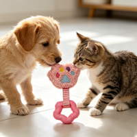 Jouets pour animaux de compagnie fabriqués en usine, jouets en peluche pour chiens, jouets interactifs pour chats résistants aux morsures, en stock