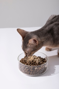 Lovidovi Bandelettes de poudre d'œuf pour le contrôle des allergènes félin 2g x 30 paquets pour neutraliser les allergènes Fel D1/D2/D4 du chat Logo personnalisé OEM - Product Image 3