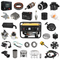 Kit de pièces détachées pour générateur : AVR, Stator, Rotor, Démarreur, Carburateur, Bougie d'allumage, Filtre, Roulements, Segments de piston et Faisceau de câblage