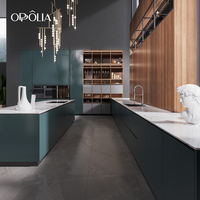 Armoires en verre OPPOLIA avec éclairage intégré, comptoir en pierre frittée laquée blanche, armoires de cuisine îlot haut de gamme