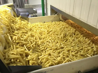 Productielijn voor diepvriesfrieten, 500 kg/uur, elektrisch/gas/steam verwarming, aardappel-frietmachine