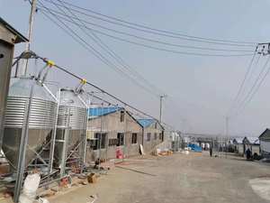 Silo-Torre de alimentación para almacenamiento de granos, equipo de alimentación para cerdo, aves de corral, pollo, cría de animales - Product Image 5