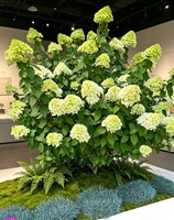 Hydrangea artificiel en forme de sucette, fleur artificielle pour la décoration du salon, de la chambre, des mariages, des hôtels et des restaurants
