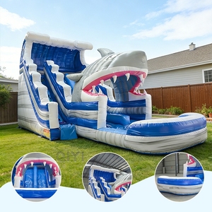 Toboggans aquatiques gonflables pour adultes en PVC de qualité commerciale pour l'extérieur, avec souffleur, pour fêtes aquatiques humides ou sèches - Product Image 6