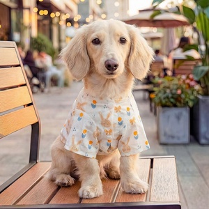 Robe d'été élégante et abordable pour animaux de compagnie (chats et chiens) avec nœud papillon – Vente en gros - Product Image 3