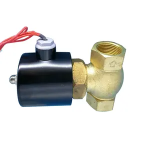 Válvula de drenaje solenoide de vapor de alta calidad, DN25, 1 ", 24V