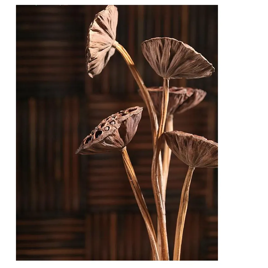 Yunnan Pure Natural Dried Flower Dried Lotus Pods für rustikale Dekoration