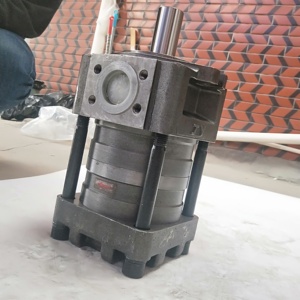 Hydraulische Zahnradpumpe SAEMP NBZ NBZ2-G16F NBZ2-C20F NBZ2-D10F NBZ2-G10F Interne Zahnradölpumpe - Product Image 5