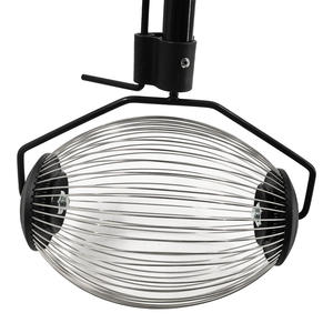 Winslow & Ross Gardenローリングナットコレクターナットピッカーウォルナットナットギャザラー長いハンドル付きパティオ芝生ヤード - Product Image 4